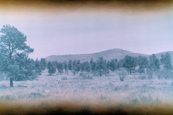 album Kodak Kodacolor-X type 120